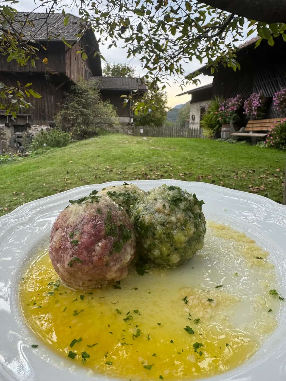 Canederli, Dolomite bread dumplings, served in butter